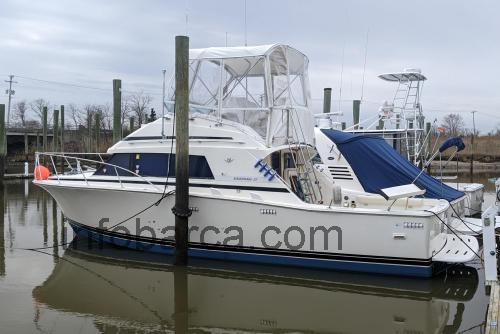 Bertram 33 Sportfisherman recensioni e scheda tecnica